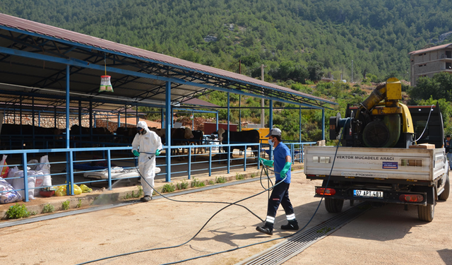 Büyükşehir, Alanya’da Kurban Pazar Yerlerini İlaçlıyor