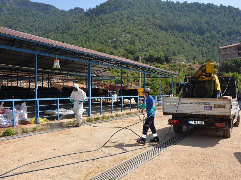 Büyükşehir, Alanya’da Kurban Pazar Yerlerini İlaçlıyor